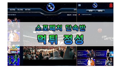 먹튀 정성