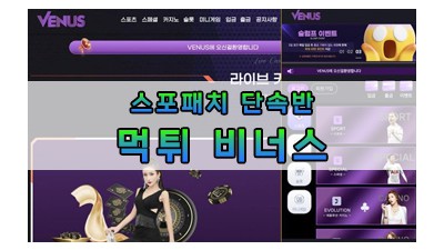 먹튀 비너스