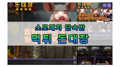 먹튀 돈대장