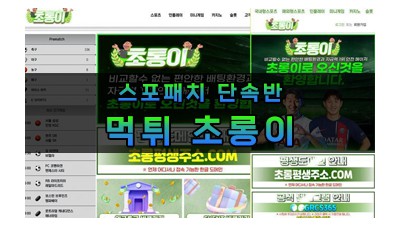 먹튀  초롱이