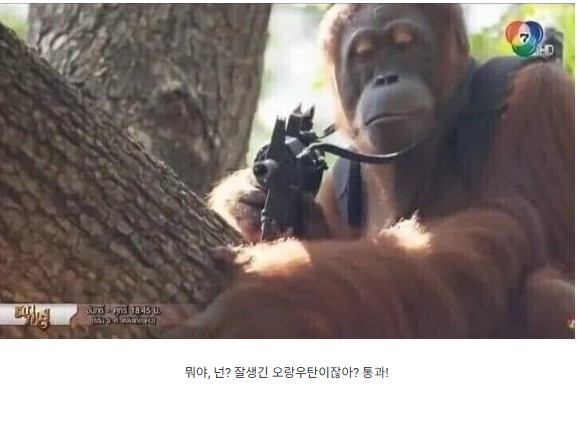 c6288ab77597d7197787b7d5541f7548_1735029766_6389.jpeg