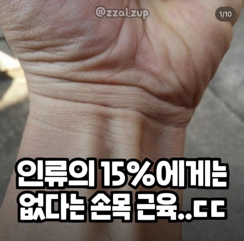 a674767565dee74a4ba62d9a6e1e5243_1737918254_4182.jpg