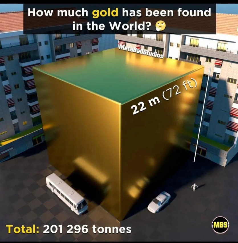 36a442ad5643a52d74e9d0f47e0728fd_1738559214_0261.jpg